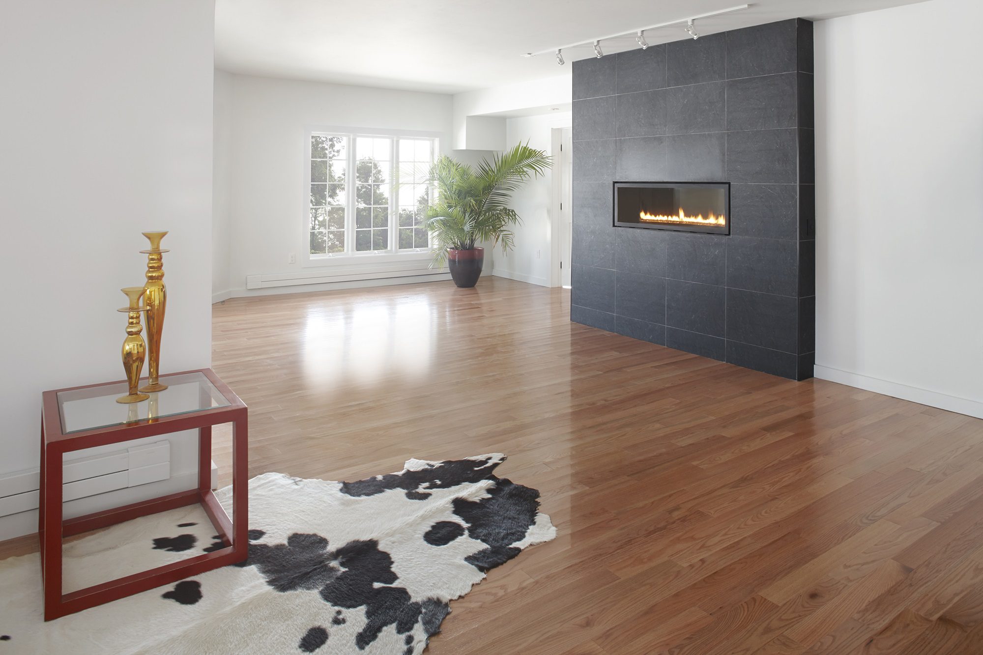 STANFORD RENOVATION